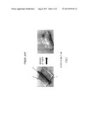 Manufacturing Method Of Heat Exchanger, And Heat Exchanger Manufactured By     Such Manufacturing Method diagram and image