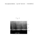 PIEZOELECTRIC ACTUATOR INCLUDING Ti/TiOx ADHESIVE LAYER AND ITS     MANUFACTURING METHOD diagram and image