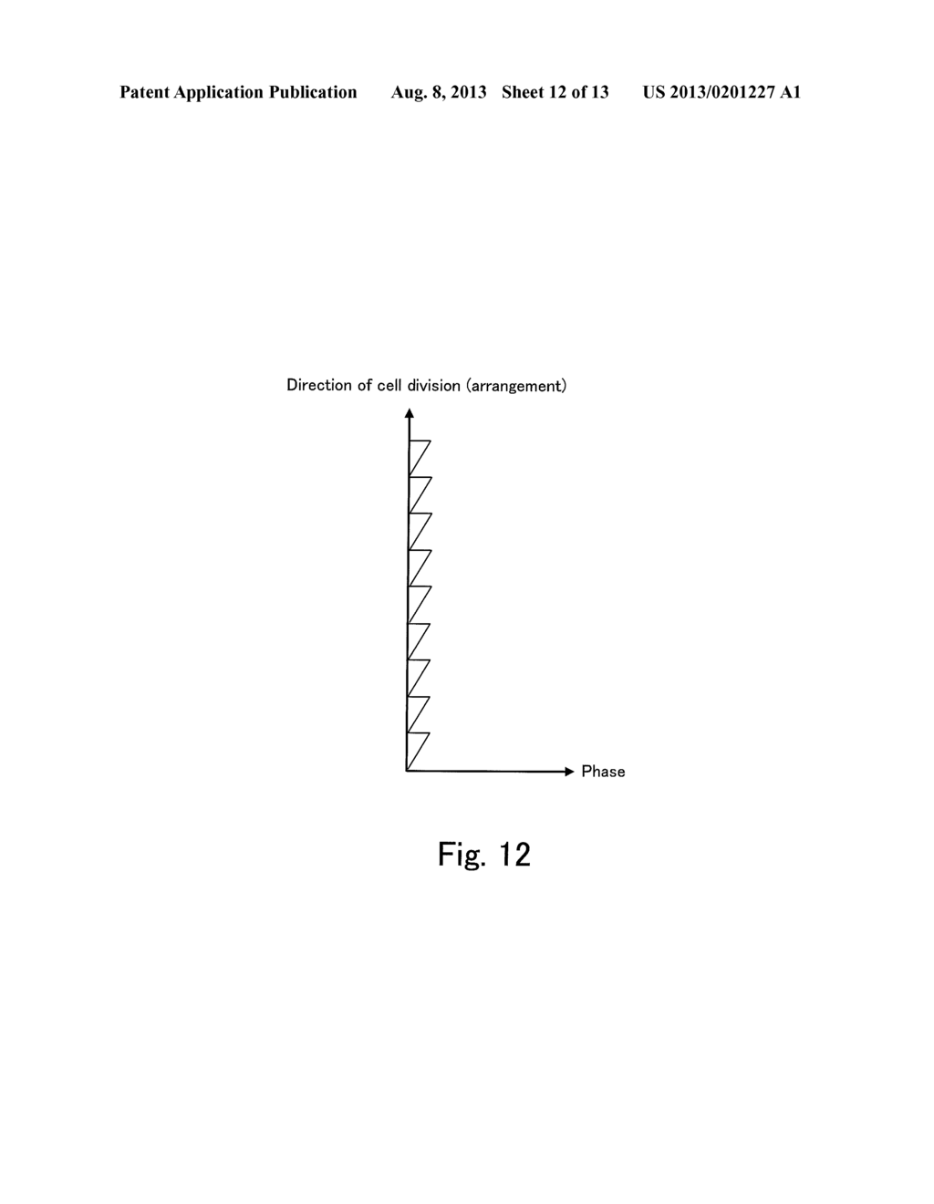 IMAGE DISPLAY APPARATUS - diagram, schematic, and image 13