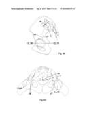 METHOD AND A SYSTEM FOR MULTI-DIMENSIONAL VISUALIZATION OF THE SPINAL     COLUMN BY VERTEBRA VECTORS, SACRUM VECTOR, SACRUM PLATEAU VECTOR AND     PELVIS VECTOR diagram and image