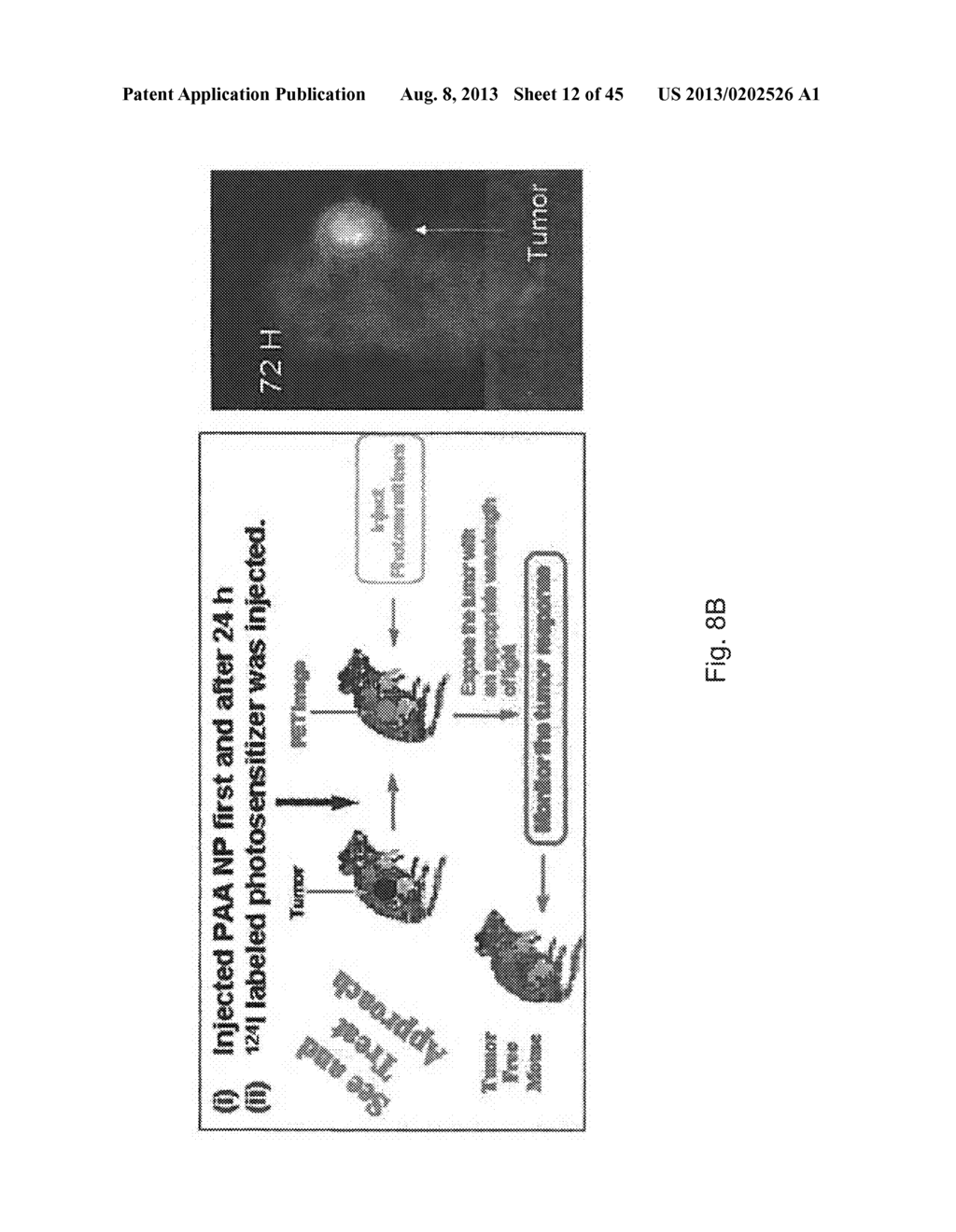 PAA NANOPARTICLES FOR PET IMAGING AND PDT TREATMENT - diagram, schematic, and image 13