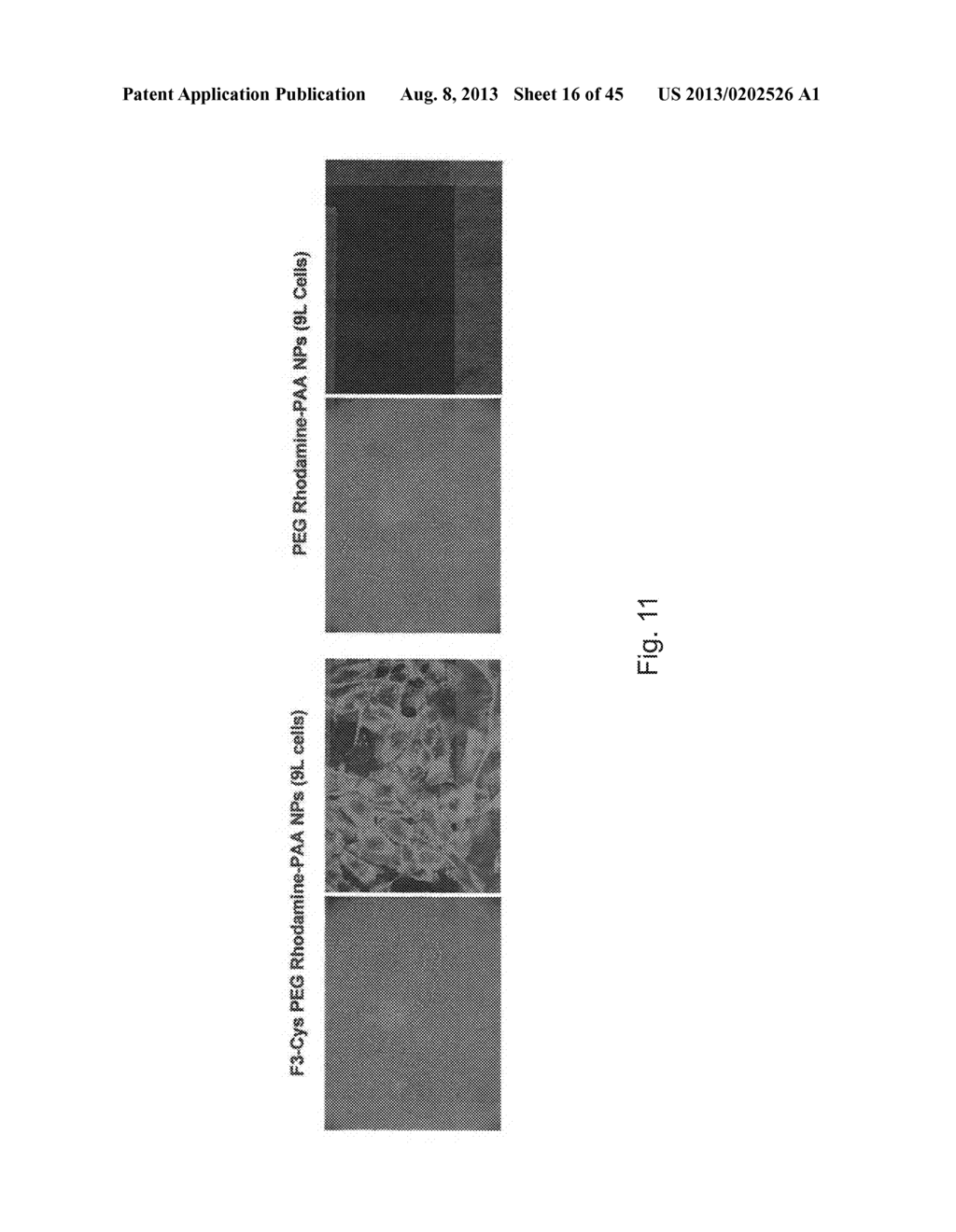 PAA NANOPARTICLES FOR PET IMAGING AND PDT TREATMENT - diagram, schematic, and image 17