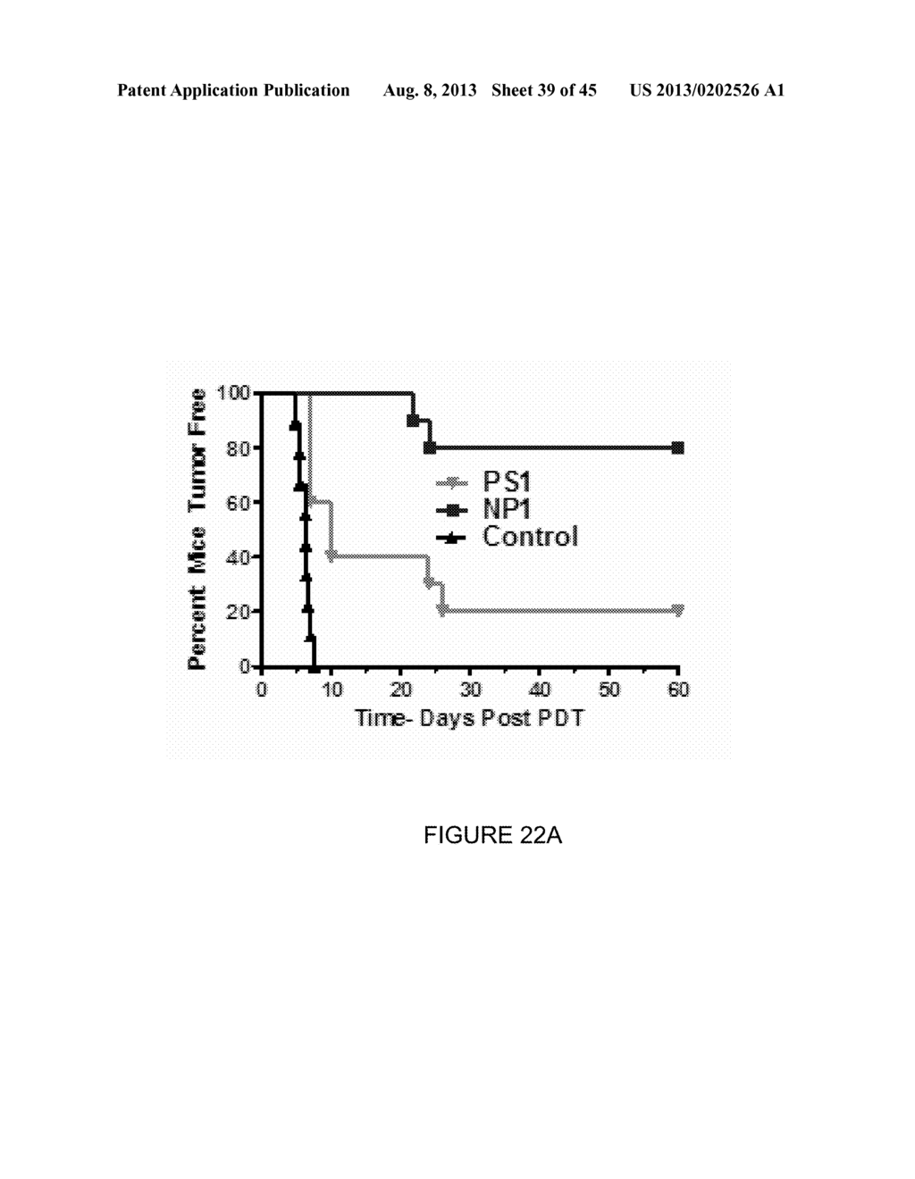 PAA NANOPARTICLES FOR PET IMAGING AND PDT TREATMENT - diagram, schematic, and image 40