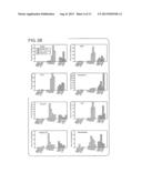 DIFFERENTIAL GENE EXPRESSION IN PHYSIOLOGICAL AND PATHOLOGICAL     ANGIOGENESIS diagram and image