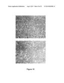 Use Of 2,5-Dihydroxybenzene Derivatives For Treating Actinic Keratosis diagram and image