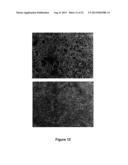 Use Of 2,5-Dihydroxybenzene Derivatives For Treating Actinic Keratosis diagram and image