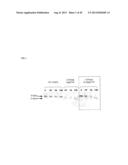 GAS57 MUTANT ANTIGENS AND GAS57 ANTIBODIES diagram and image