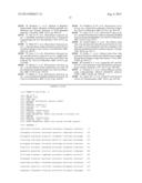 USE OF FLAGELLINS FROM THE GENUS MARINOBACTER AS VACCINATION ADJUVANTS diagram and image