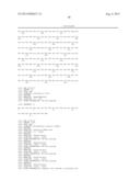 USE OF FLAGELLINS FROM THE GENUS MARINOBACTER AS VACCINATION ADJUVANTS diagram and image