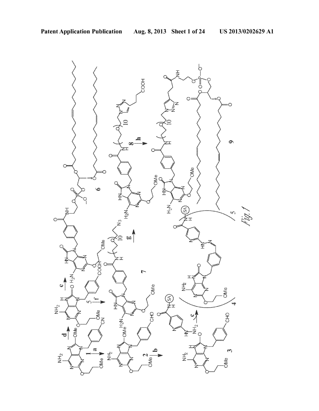 USES OF PHOSPHOLIPID CONJUGATES OF SYNTHETIC TLR7 AGONISTS - diagram, schematic, and image 02