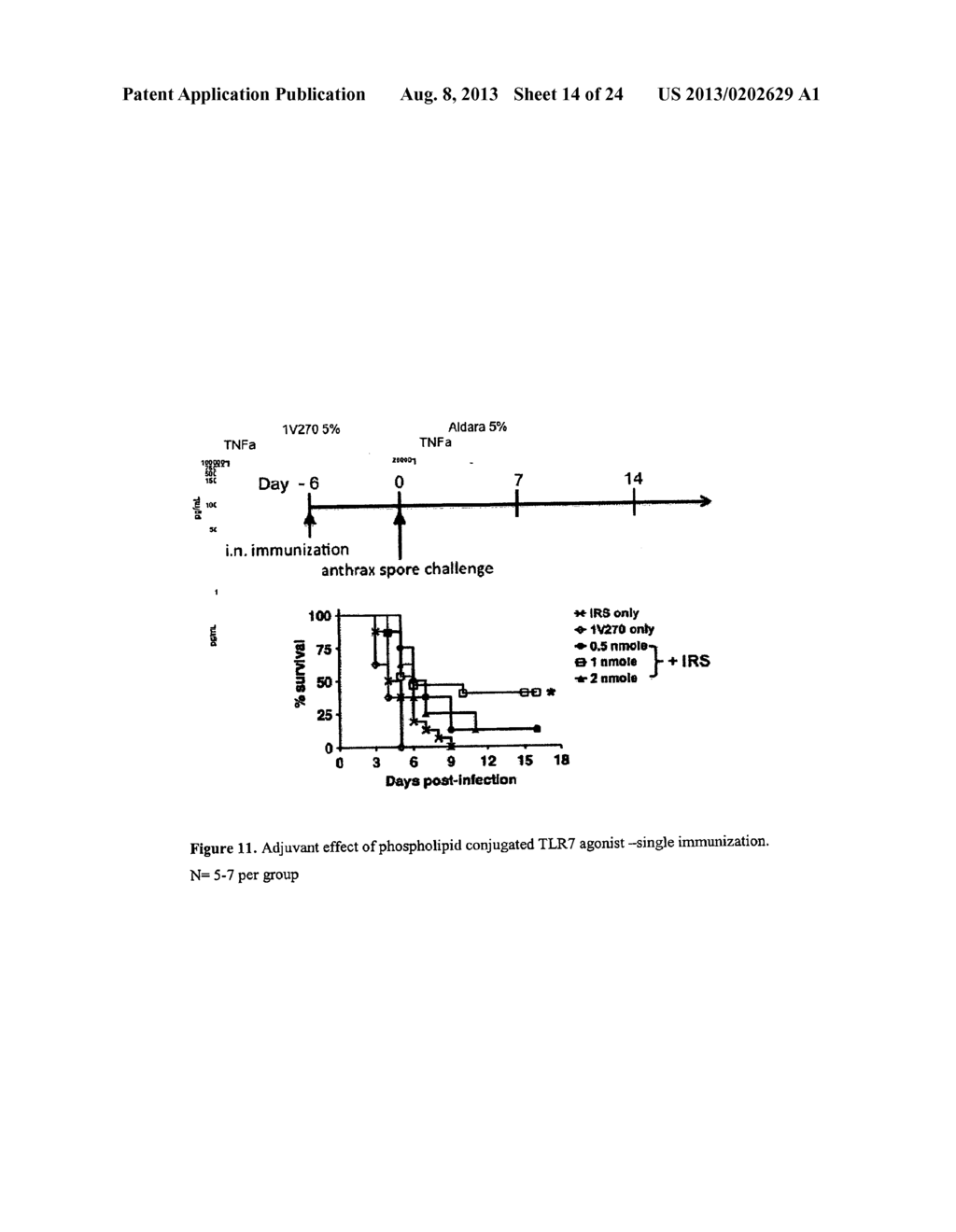 USES OF PHOSPHOLIPID CONJUGATES OF SYNTHETIC TLR7 AGONISTS - diagram, schematic, and image 15