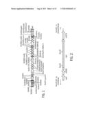 IMMUNOGENIC COMPOSITIONS AGAINST TUBERCULOSIS diagram and image