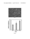 FUNCTIONAL NANOSTRUCTURED CHITOSAN COATINGS FOR MEDICAL INSTRUMENTS AND     DEVICES diagram and image