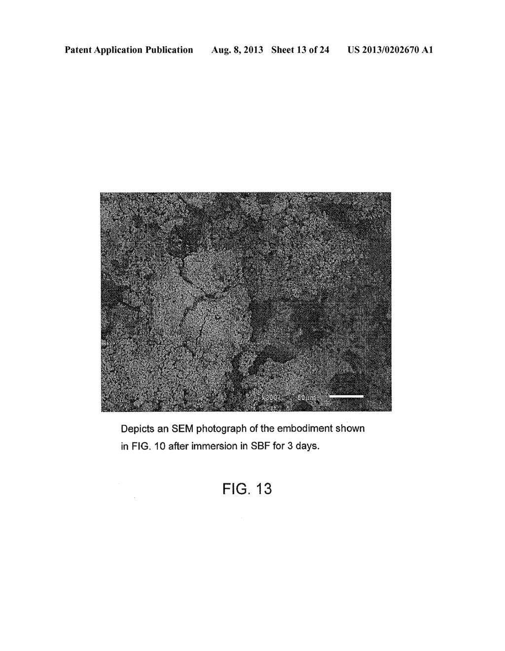 BIOACTIVE ANTIBACTERIAL BONE GRAFT MATERIALS CONTAINING SILVER - diagram, schematic, and image 14