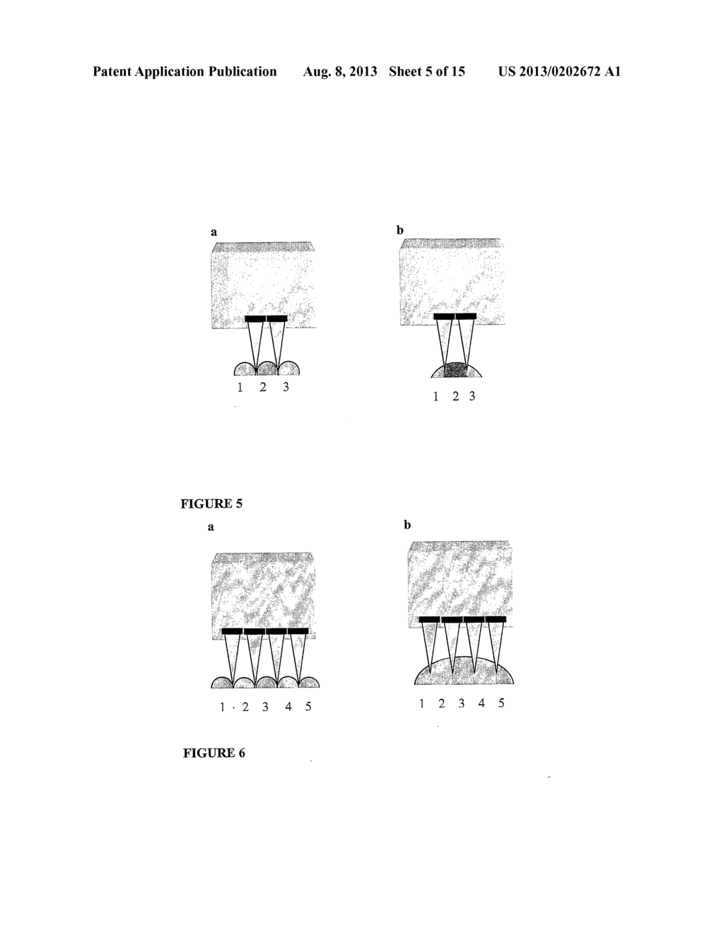 FIBER-ASSEMBLED TISSUE CONSTRUCTS - diagram, schematic, and image 06