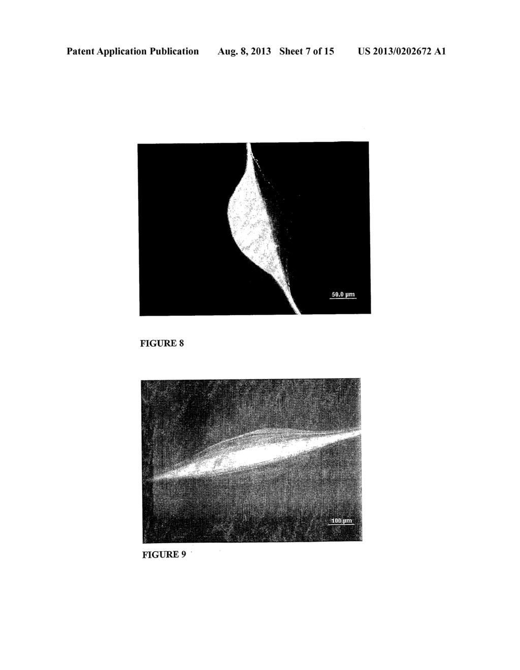 FIBER-ASSEMBLED TISSUE CONSTRUCTS - diagram, schematic, and image 08