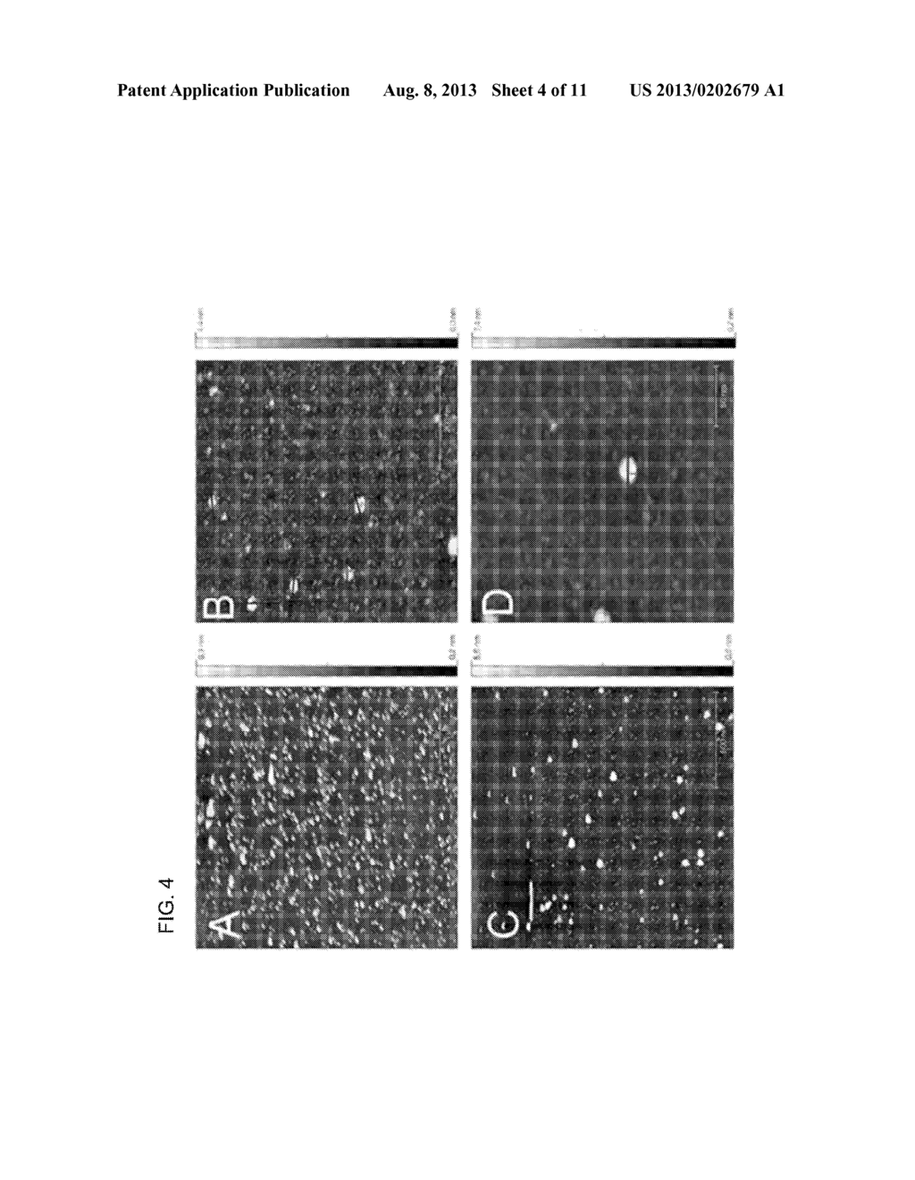 Targeted Particles Comprising Landscape Phage Fusion Proteins and     Heterologous Nucleic Acid - diagram, schematic, and image 05