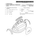 Commemorative Hollow Wood Football diagram and image