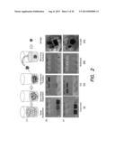 AEROGELS AND METHODS OF MAKING SAME diagram and image