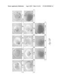 METHOD FOR DETECTING NUCLEIC ACIDS BASED ON AGGREGATE FORMATION diagram and image