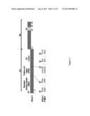 NEW RECEPTOR BINDING LIGANDS, THEIR USE IN THE DETECTION OF CELLS WITH     BIOLOGICAL INTEREST diagram and image