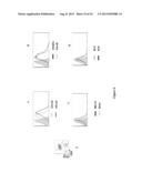 NEW RECEPTOR BINDING LIGANDS, THEIR USE IN THE DETECTION OF CELLS WITH     BIOLOGICAL INTEREST diagram and image