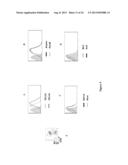 NEW RECEPTOR BINDING LIGANDS, THEIR USE IN THE DETECTION OF CELLS WITH     BIOLOGICAL INTEREST diagram and image