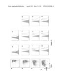 NEW RECEPTOR BINDING LIGANDS, THEIR USE IN THE DETECTION OF CELLS WITH     BIOLOGICAL INTEREST diagram and image