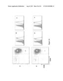 NEW RECEPTOR BINDING LIGANDS, THEIR USE IN THE DETECTION OF CELLS WITH     BIOLOGICAL INTEREST diagram and image