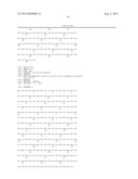 NEW RECEPTOR BINDING LIGANDS, THEIR USE IN THE DETECTION OF CELLS WITH     BIOLOGICAL INTEREST diagram and image