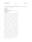 NEW RECEPTOR BINDING LIGANDS, THEIR USE IN THE DETECTION OF CELLS WITH     BIOLOGICAL INTEREST diagram and image