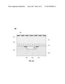 MICROFLUIDIC DEVICE FOR GENERATING NEURAL CELLS TO SIMULATE POST-STROKE     CONDITIONS diagram and image