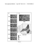 MICROFLUIDIC DEVICE FOR GENERATING NEURAL CELLS TO SIMULATE POST-STROKE     CONDITIONS diagram and image