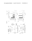 Aldehyde Tags, Uses Thereof in Site-Specific Protein Modification diagram and image