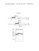 Aldehyde Tags, Uses Thereof in Site-Specific Protein Modification diagram and image