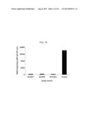 Aldehyde Tags, Uses Thereof in Site-Specific Protein Modification diagram and image