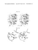 Aldehyde Tags, Uses Thereof in Site-Specific Protein Modification diagram and image