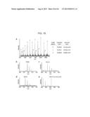 Aldehyde Tags, Uses Thereof in Site-Specific Protein Modification diagram and image