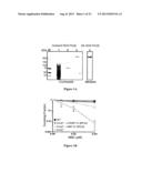 EXPRESSION AND PURIFICATION OF FUSION PROTEIN WITH MULTIPLE MBP TAGS diagram and image