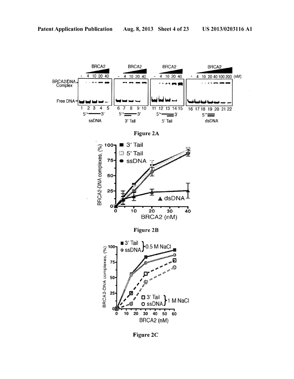 EXPRESSION AND PURIFICATION OF FUSION PROTEIN WITH MULTIPLE MBP TAGS - diagram, schematic, and image 05