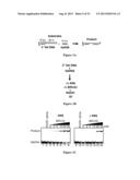 EXPRESSION AND PURIFICATION OF FUSION PROTEIN WITH MULTIPLE MBP TAGS diagram and image