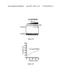 EXPRESSION AND PURIFICATION OF FUSION PROTEIN WITH MULTIPLE MBP TAGS diagram and image