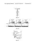 EXPRESSION AND PURIFICATION OF FUSION PROTEIN WITH MULTIPLE MBP TAGS diagram and image