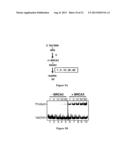 EXPRESSION AND PURIFICATION OF FUSION PROTEIN WITH MULTIPLE MBP TAGS diagram and image