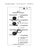 EXPRESSION AND PURIFICATION OF FUSION PROTEIN WITH MULTIPLE MBP TAGS diagram and image