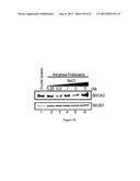 EXPRESSION AND PURIFICATION OF FUSION PROTEIN WITH MULTIPLE MBP TAGS diagram and image