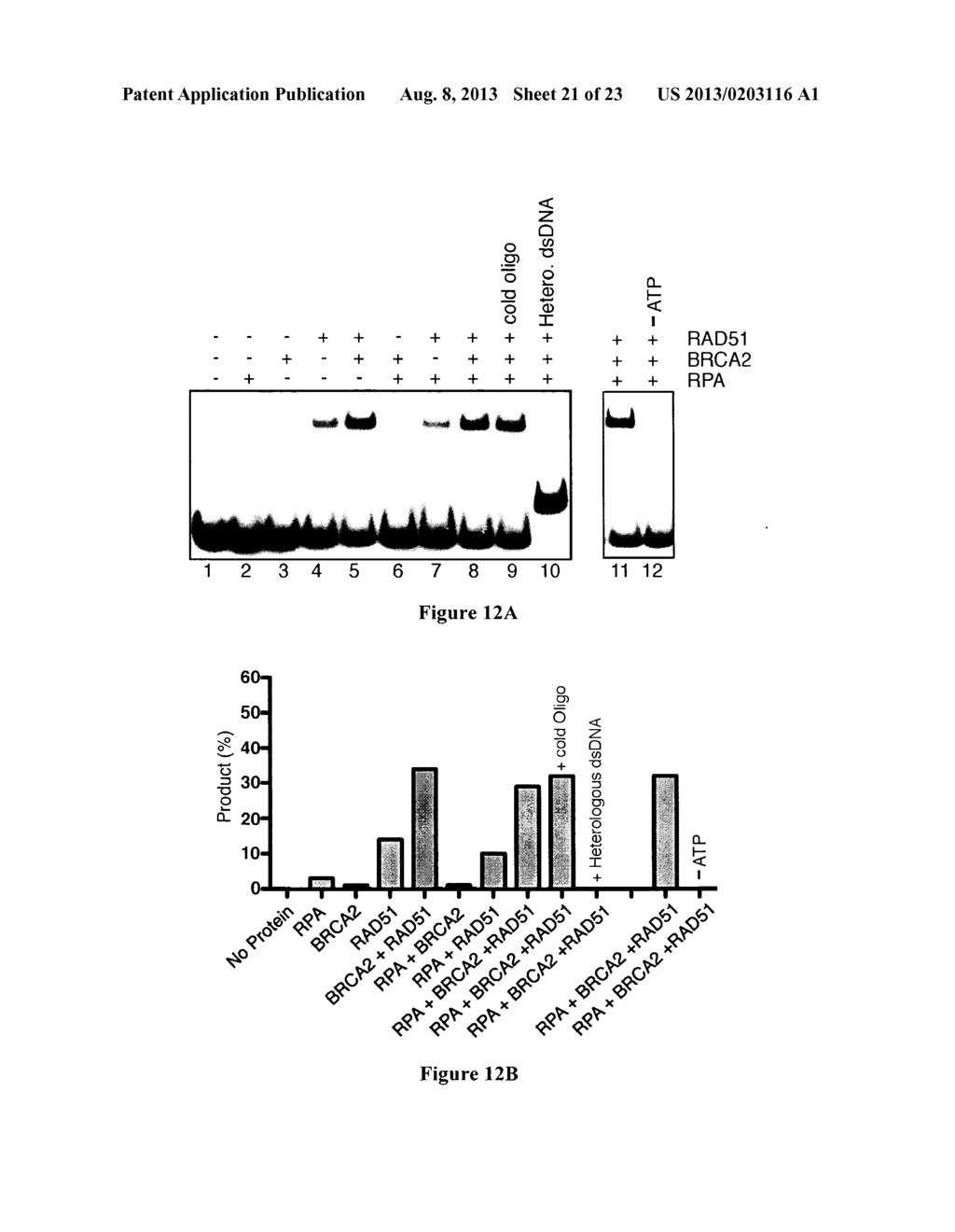 EXPRESSION AND PURIFICATION OF FUSION PROTEIN WITH MULTIPLE MBP TAGS - diagram, schematic, and image 22