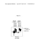 EXPRESSION AND PURIFICATION OF FUSION PROTEIN WITH MULTIPLE MBP TAGS diagram and image