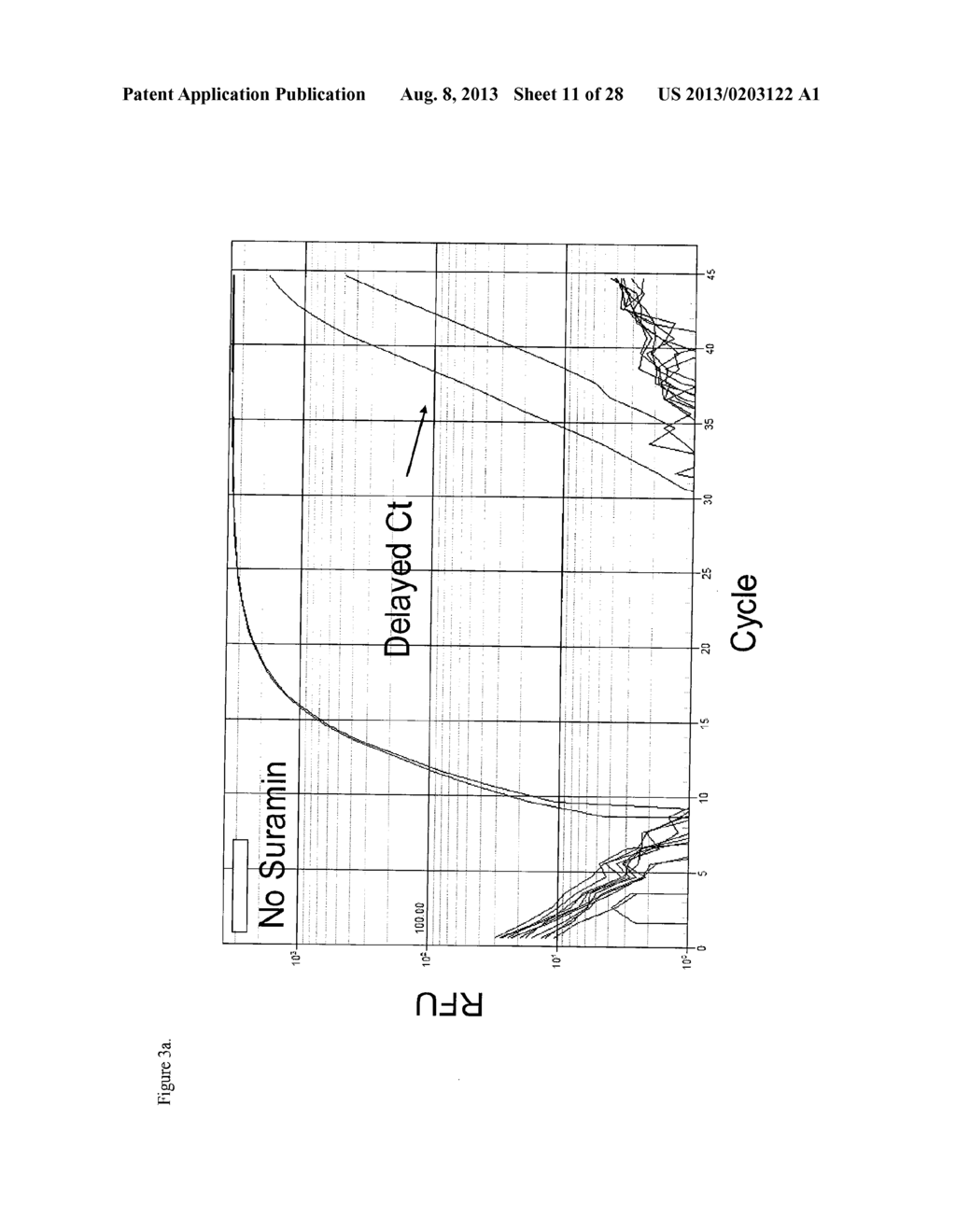 Reduced Inhibition of One-Step RT-PCR - diagram, schematic, and image 12