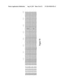 VARIANT CBH I POLYPEPTIDES diagram and image